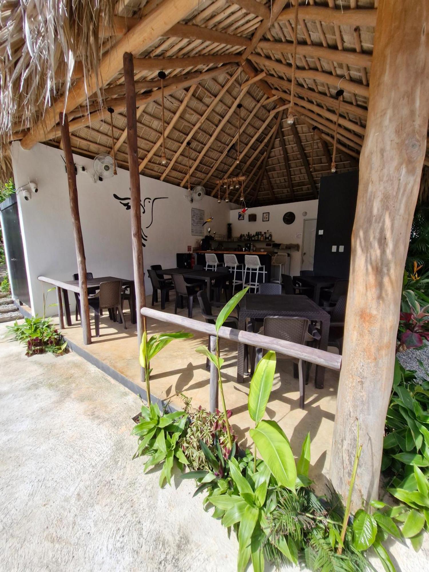 Bungalows Colibri Las Galeras Extérieur photo
