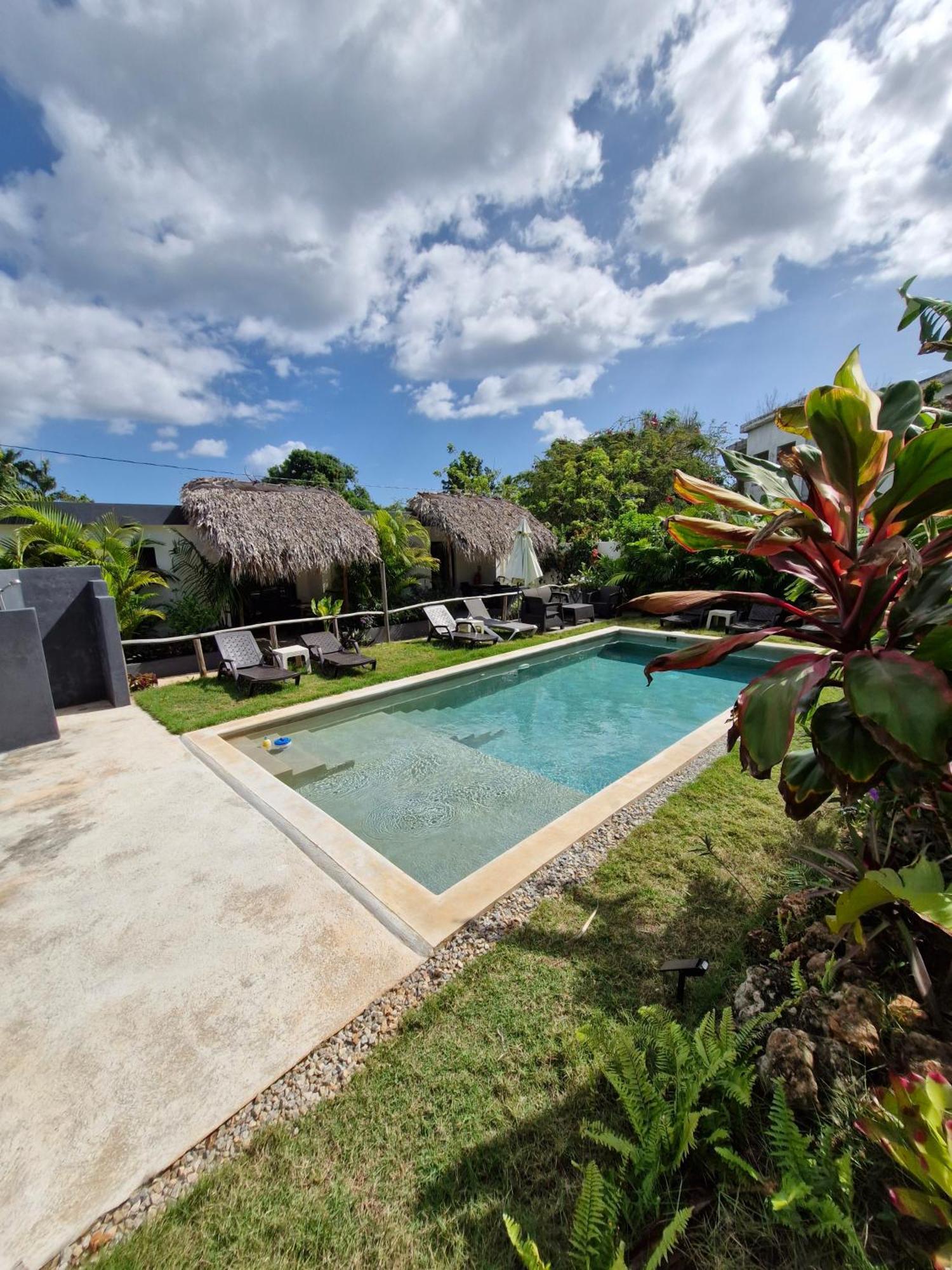 Bungalows Colibri Las Galeras Extérieur photo