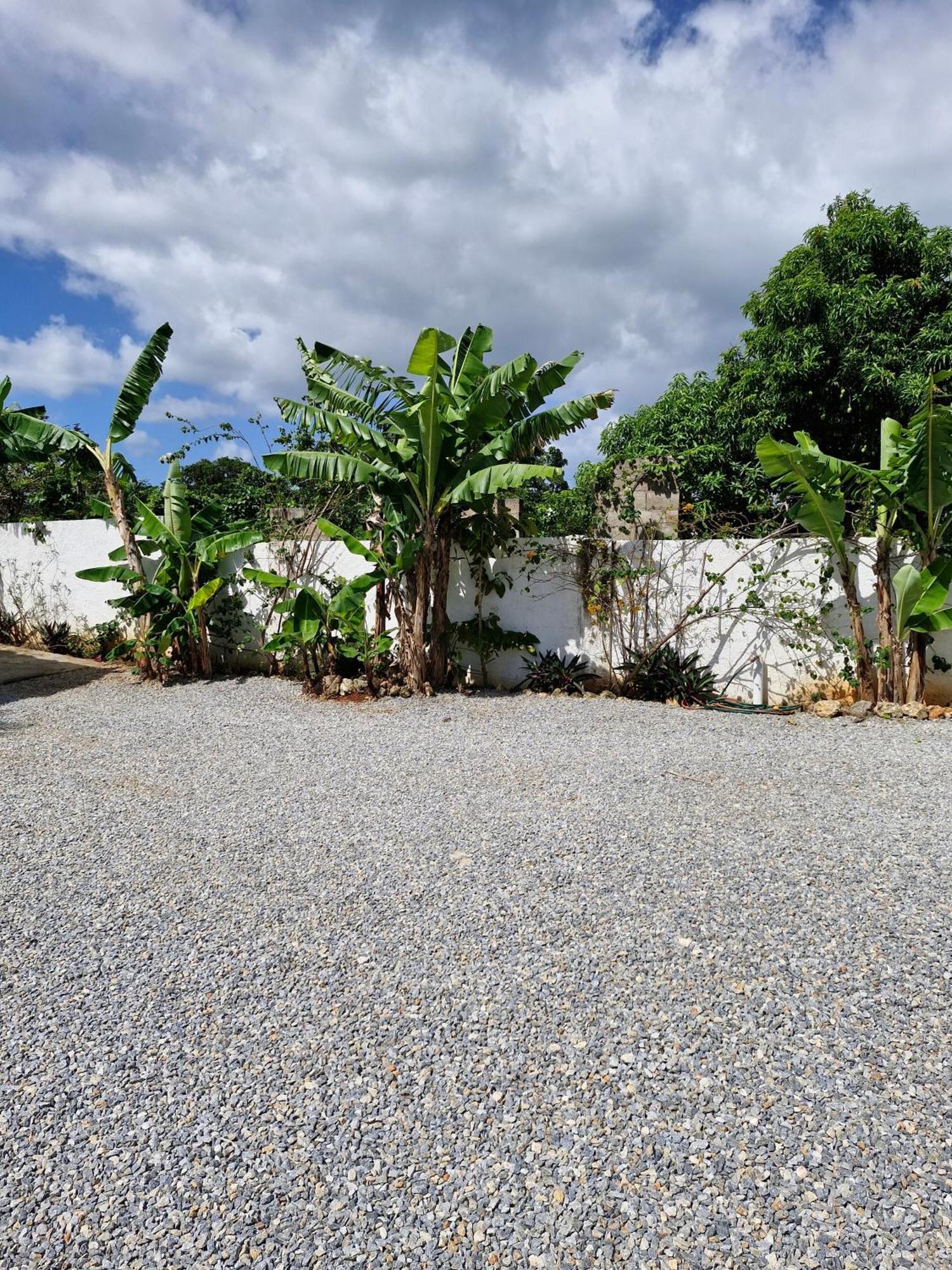 Bungalows Colibri Las Galeras Extérieur photo