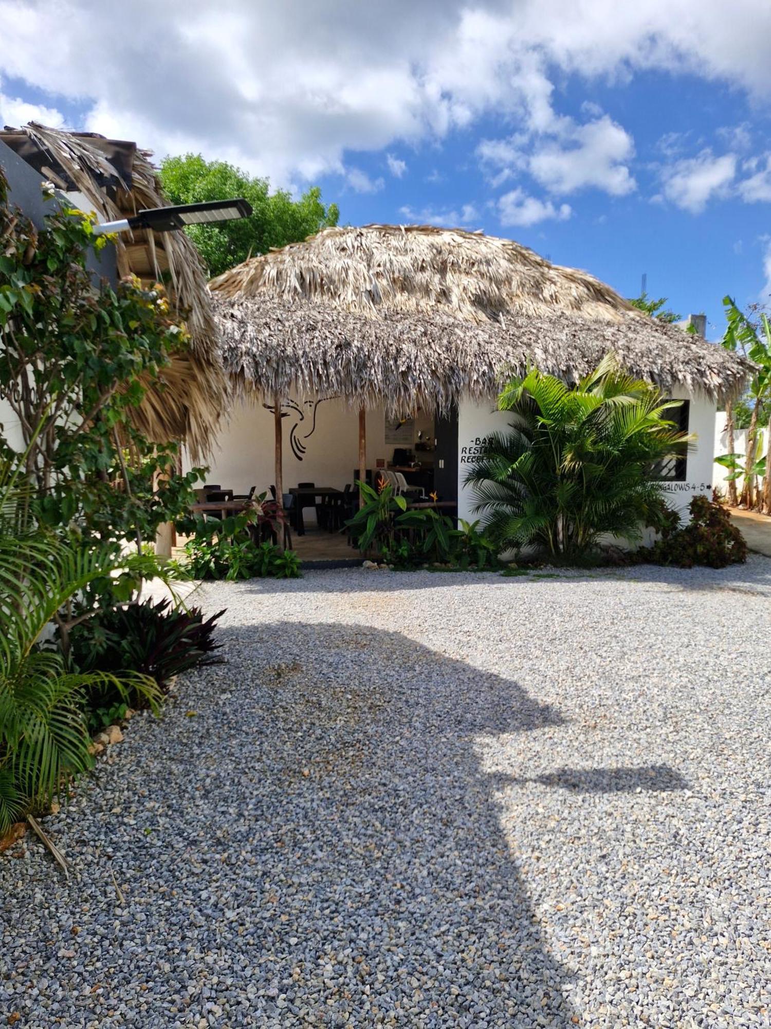 Bungalows Colibri Las Galeras Extérieur photo