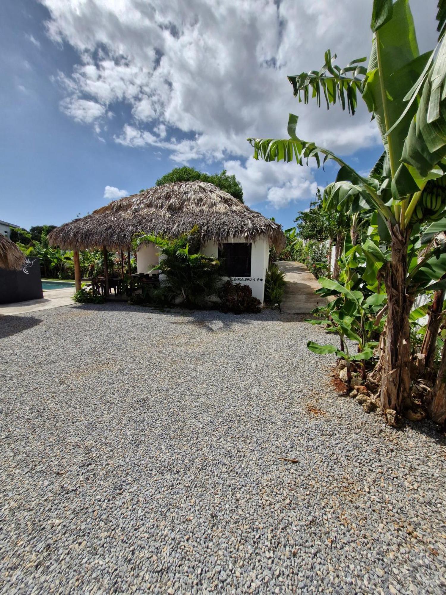 Bungalows Colibri Las Galeras Extérieur photo