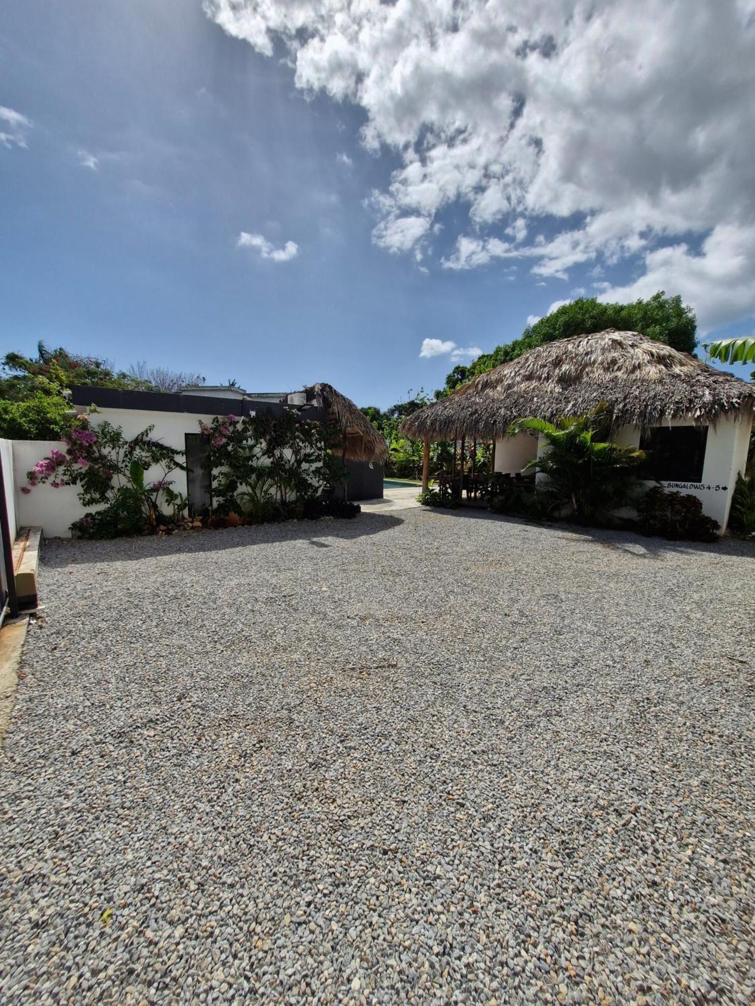 Bungalows Colibri Las Galeras Extérieur photo