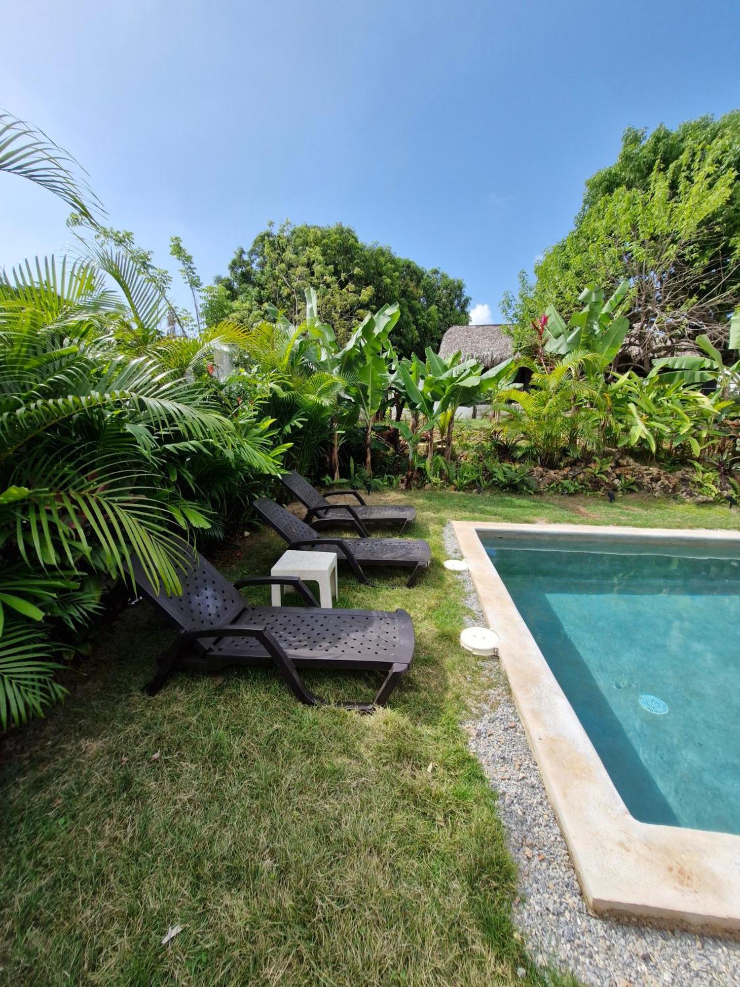 Bungalows Colibri Las Galeras Extérieur photo